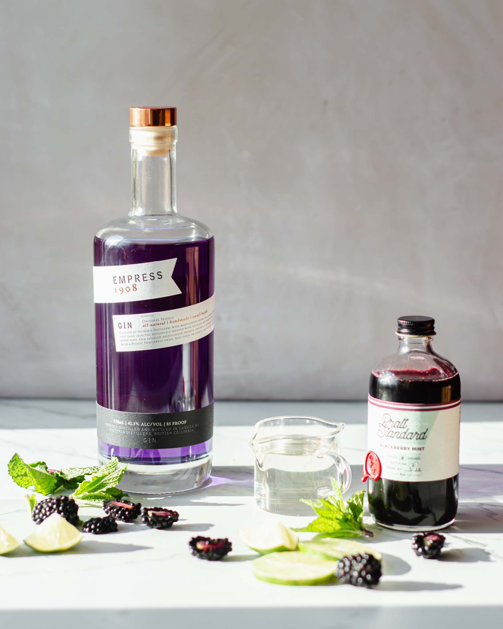 Blackberry & Mint Gin Rickey